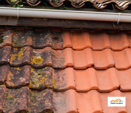 limpiezaintegraldetejasentarragona 1920w