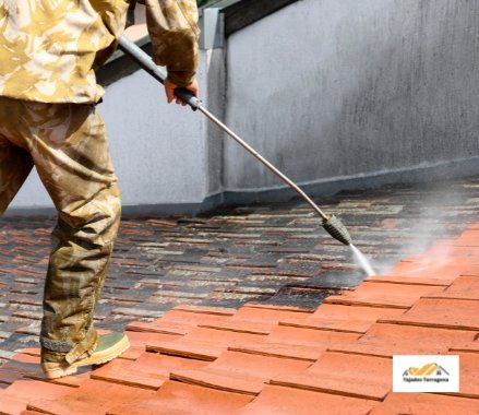 quitarmanchasdelastejasentarragona 1920w